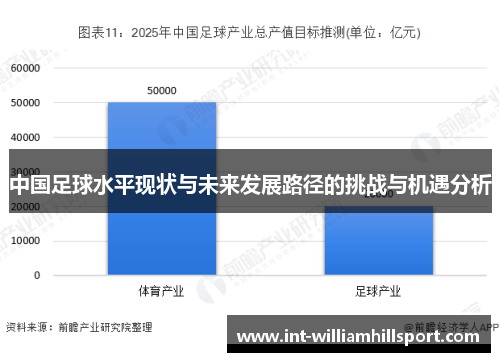 中国足球水平现状与未来发展路径的挑战与机遇分析